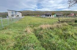 Teren de Vanzare, foarte aproape de Crama Jelna 