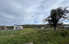 Teren de Vanzare, foarte aproape de Crama Jelna 