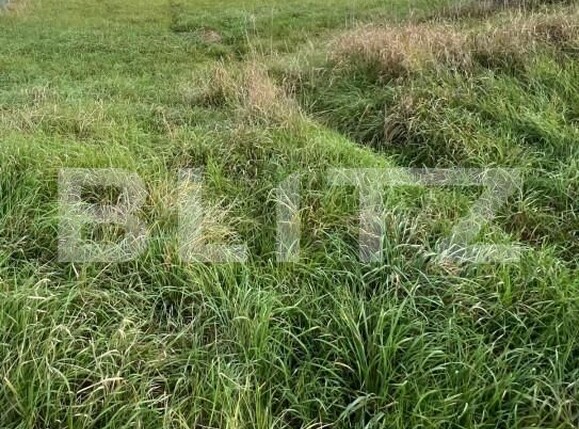 Teren de vânzare Central - 159714TV | BLITZ Bistriţa | Poza5