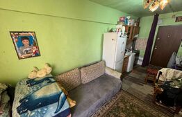 Camera de camin, 18 mp 