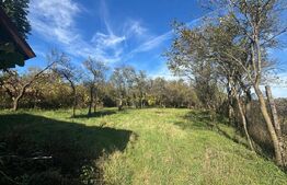 Casa 120mp,8700 teren Intravilan,10km de Bistrita