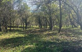 Casa 120mp,8700 teren Intravilan,10km de Bistrita