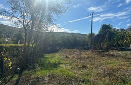 Casa 120mp,8700 teren Intravilan,10km de Bistrita