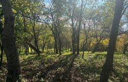 Casa 120mp,8700 teren Intravilan,10km de Bistrita