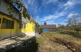 Casa 120mp,8700 teren Intravilan,10km de Bistrita