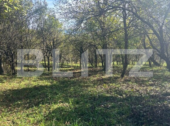 Casa de vânzare 4 camere Nord-Est - 159734CV | BLITZ Bistriţa | Poza2