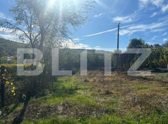 Casa de vânzare 4 camere Nord-Est - 159734CV | BLITZ Bistriţa | Poza5