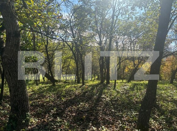 Casa de vânzare 4 camere Nord-Est - 159734CV | BLITZ Bistriţa | Poza15