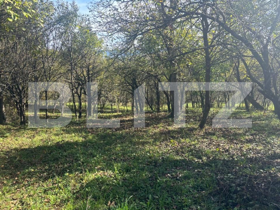 Casa de vânzare 4 camere Nord-Est - 159734CV | BLITZ Bistriţa | Poza2