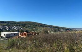 Teren Intravilan, 770 mp, Valea Ghinzii