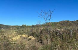 Teren Intravilan, 770 mp, Valea Ghinzii