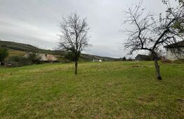 Casa individuala, 3300 mp teren, zona Sintereag 