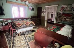 Doua case amplasate 3300 mp teren, Comuna Nimigea Tau