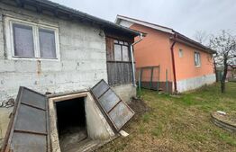 Doua case amplasate 3300 mp teren, Comuna Nimigea Tau