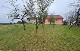 Doua case amplasate 3300 mp teren, Comuna Nimigea Tau