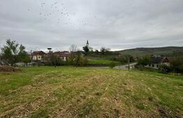 Casa individuala, 3300 mp teren, zona Sintereag 