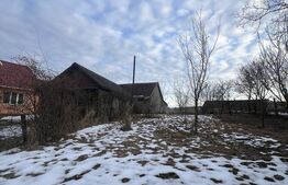 Casa individuala, 3300 mp teren, zona Sintereag 