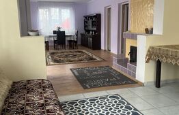 Doua case amplasate 3300 mp teren, Comuna Nimigea Tau