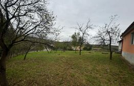 Casa individuala, 3300 mp teren, zona Sintereag 