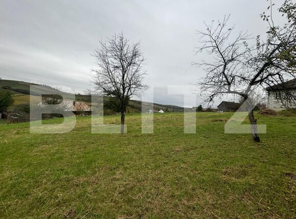 Casa de vânzare 5 camere Sud - 159824CV | BLITZ Bistriţa | Poza6