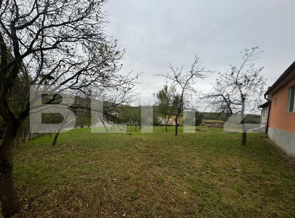 Casa de vânzare 5 camere Sud - 159824CV | BLITZ Bistriţa | Poza8