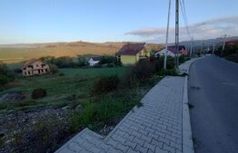 Teren Intravilan,861 mp,toate utilitatile la strada,zona Leoni 