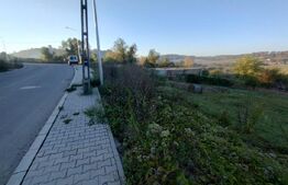 Teren Intravilan,861 mp,toate utilitatile la strada,zona Leoni 