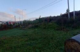 Teren Intravilan,861 mp,toate utilitatile la strada,zona Leoni 