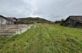 Teren 4000 mp,autorizatie de constructie Lechinta