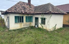 Teren 4000 mp,autorizatie de constructie Lechinta