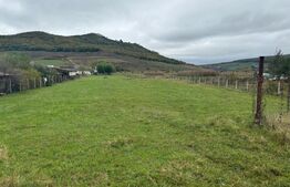 Teren 4000 mp,autorizatie de constructie Lechinta