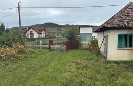 Teren 4000 mp,autorizatie de constructie Lechinta