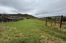 Teren 4000 mp,autorizatie de constructie Lechinta