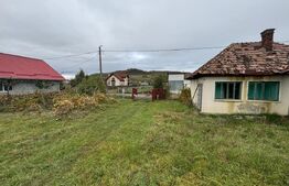 Teren 4000 mp,autorizatie de constructie Lechinta