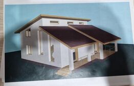 Teren 4000 mp,autorizatie de constructie Lechinta