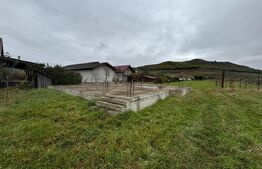 Teren 4000 mp,autorizatie de constructie Lechinta