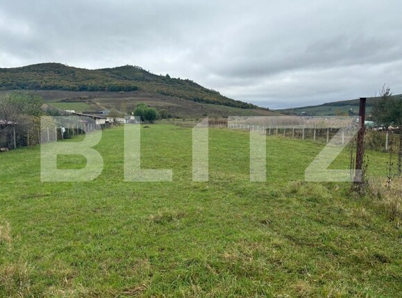 Teren de vânzare Exterior Vest - 160005TV | BLITZ Bistriţa | Poza15