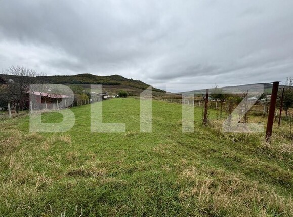 Teren de vânzare Exterior Vest - 160005TV | BLITZ Bistriţa | Poza16