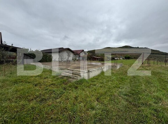 Teren de vânzare Exterior Vest - 160005TV | BLITZ Bistriţa | Poza10