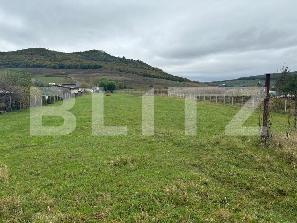 Teren de vânzare Exterior Vest - 160005TV | BLITZ Bistriţa | Poza15