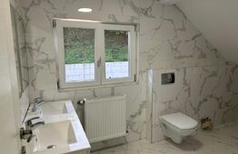 Casa de vanzare 1500mp teren, zona Podul Jelnei