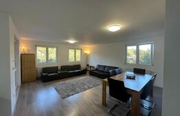 Casa de vanzare 1500mp teren, zona Podul Jelnei