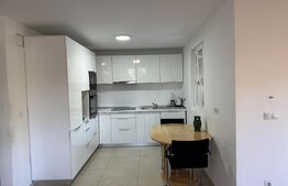 Casa de vanzare 1500mp teren, zona Podul Jelnei