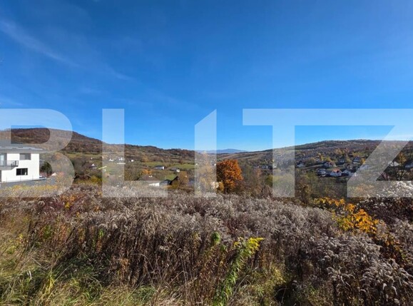 Teren de vânzare Exterior Sud - 160274TV | BLITZ Bistriţa | Poza1