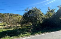 Oportunitate de investitie, cu teren intravilan si extravilan 