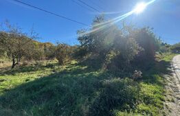 Oportunitate de investitie, cu teren intravilan si extravilan 