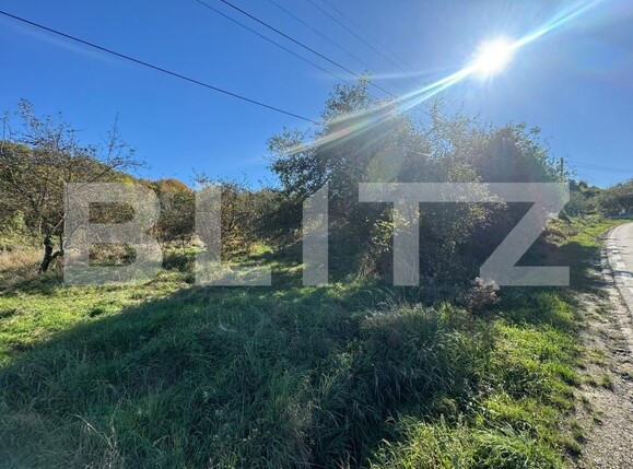 Teren de vânzare Vest - 160360TV | BLITZ Bistriţa | Poza2