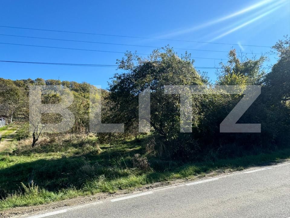 Teren de vânzare Vest - 160360TV | BLITZ Bistriţa | Poza1