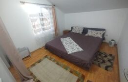 Cabana 80 mp utili,2 nivele,180 mp curte,zona Băile Figa