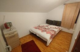 Cabana 80 mp utili,2 nivele,180 mp curte,zona Băile Figa